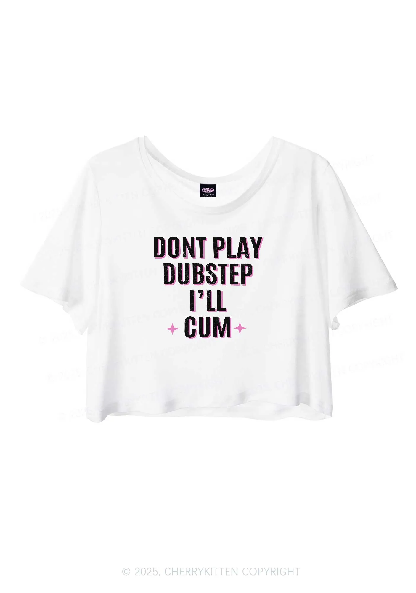 Dont Play Dubstep Y2K Sheer Crop Tee Cherrykitten
